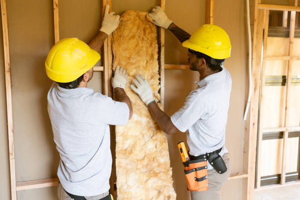 Best Professional Insulation Contractor  in Linden, CA